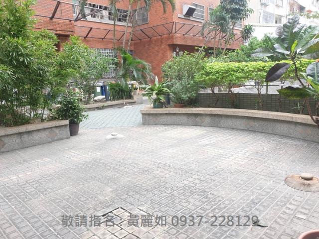 中庭