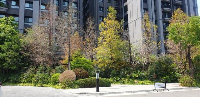 台中南區大樓-1