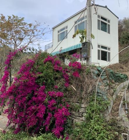卓蘭山坡地-2