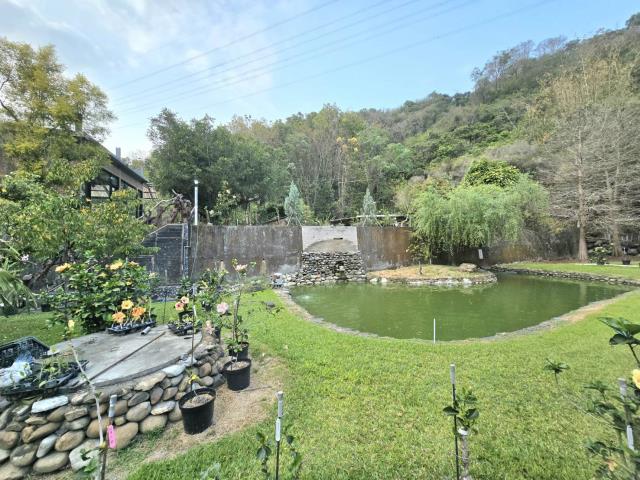 南投中寮山坡地-0